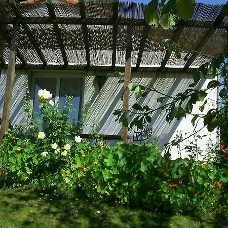 بيت ضيافة Le Pit